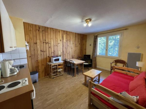Agréable T2 au pied des pistes avec piscine estivale, parking, et animaux bienvenus - FR-1-787-31